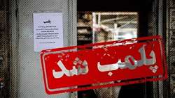 نان خبازان متخلف در تنور قانون پلمپ
