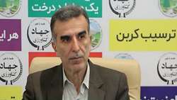تولید یک میلیون و هشتصد هزار اصله نهال در نهالستان های منابع طبیعی آذربایجان شرقی  
