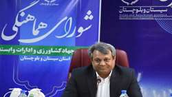 تأکید بر تقویت آمادگاه ایرانشهر برای مدیریت بحران ملخ در جنوب شرق کشور