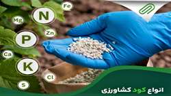 توزیع 10 هزار تن انواع کود یارانه ای در خراسان جنوبی از ابتدای سال جاری