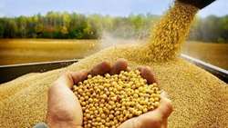 نهاده های خام دامی با نرخ  دولتی به  دامداران عرضه می شود