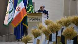 نیازمند بازبینی در شاخص‌های حوزه کشاورزی هستیم