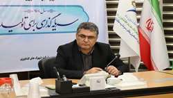 تاکید بر تدوین برنامه‌های استراتژیک برای ارتقای امنیت غذایی در شرکت شهرک‌های کشاورزی