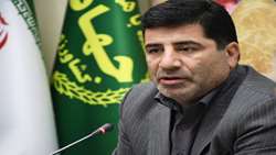 کاهش قیمت تمام‌شده تولید محصولات کشاورزی و دامی؛ راهبردی بنیادین برای امنیت غذایی پایدار