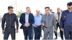 معاون امور زراعت وزارت جهاد کشاورزی از مراکز خرید تضمینی گندم در مشهد مقدس بازدید کرد