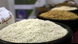 دلالان و واسطه‌گران همچنان متهمان اصلی گرانی برنج