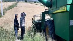 آغاز برداشت جو از ۳۴۲۵ هکتار اراضی کشاورزی در خداآفرین