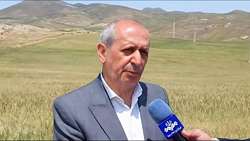 جبران خسارت ناشی از سرمازدگی و تگرک در بخش کشاورزی اهر پیگیری می شود