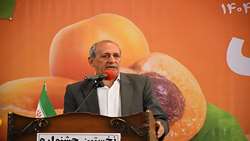 اختصاص رتبه نخست تولید زردآلو در کشور به استان آذربایجان شرقی/ 400 هکتار گلخانه در منطقه ارس ایجاد می‌شود