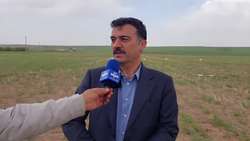 نیمی از زراعت کشور در دیمزار انجام می‌شود