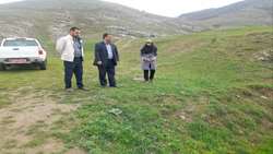 ارزیابی میدانی مبارزه با ملخ در هوراند
