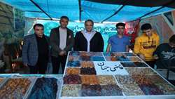 تولید ۹۹ درصد لپه کشور در شهرستان آذرشهر