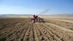 ۲۰ درصد از مزارع خراسان شمالی زیرکشت پاییزه رفته است