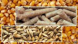 اشتغال‌زایی در قالب تعاونی‌های عشایری