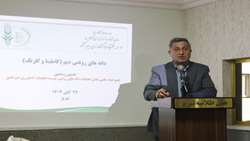 انتقال دانش فنی دانه‌های روغنی به کارشناسان؛ هدف اصلی کارگاه تخصصی کشت پاییزه