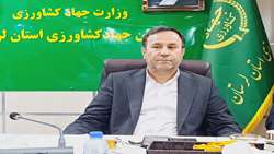 تجمیع و یکپارچه سازی اراضی کشاورزی؛ گامی مهم در ارتقاء بهره‌وری و توسعه پایدار کشاورزی در لرستان