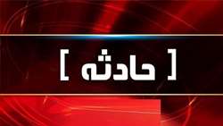 مصدومیت واکسیناتور دامپزشکی بر اثر گازگرفتگی سگ