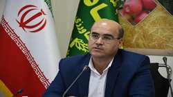 نظام صنفی جایگاه اتاق اصناف کشاورزی را در تصمیم‌سازی‌ها تقویت می‌کند