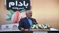 لزوم ایجاد دبیرخانه دائمی جشنواره بادام خسروشاه برای برندسازی و ارزش‌آفرینی اقتصادی