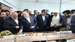 سفر وزیر جهاد کشاورزی به استان کرمان و شهرستان بم