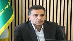 امنیت غذایی کشور در گرو همکاری همه ارکان کشاورزی است/ تأکید بر اجرای دقیق الگوی کشت و توسعه صنایع تبدیلی 
