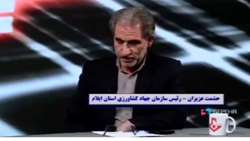  رشد ۳۰ درصدی تولید گندم در تناوب با کلزا در استان ایلام