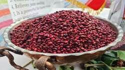 توسعه کشت سماق آذربایجان شرقی با هدف ارزآوری و صادرات در دستور کار است
