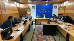 ضرب‌الاجل دادستان قشم برای جمع‌آوری شترهای سرگردان و پلاک‌گذاری دام‌ها