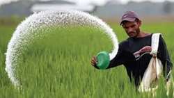 تأمین کامل و پایدار کودهای مورد نیاز کشاورزی در خراسان شمالی در سال جاری