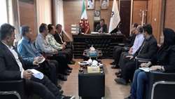  آمادگی کامل برای خرید ۶۰۰ هزار تُن گندم از کشاورزان کرمانشاهی 