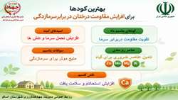  بهترین کودها برای افزایش مقاومت درختان در برابر سرمازدگی