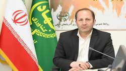 پیش بینی تولید ۵۰ هزار تن گندم در شهرستان مراغه