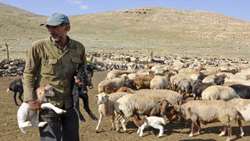 هنوز عشایر وارد همدان نشدند / آبرسانی سیار ۹۰۰ خانوار عشایر در جنگ رمضان