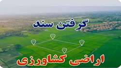 صدور ۴۵۰ سند تک برگ اراضی کشاورزی در شهرستان رودان