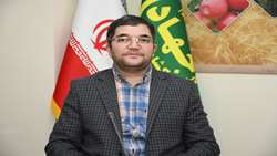 انجام ۹ هزار و ۳۷۳ بازرسی در بازار و نانوایی‌های آذربایجان شرقی/ ارسال هزار و ۴۶۱ پرونده تخلف به تعزیرات حکومتی