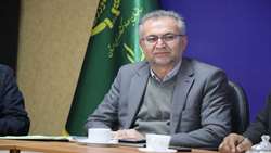 تأمین پایدار بازار مرغ پایتخت و سایر استان‌ها توسط واحدهای تولیدی مازندران