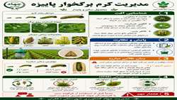 مدیریت کرم برگخوار پاییزه 