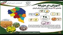 آموزش در مزرعه؛ جانمایی 28 مزرعه الگویی در استان کرمان