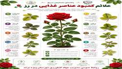 علائم کمبود عناصر غذایی درگل رز