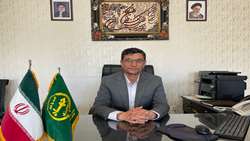 فعالیت بیش از ۳ هزار زنبورستان و تولید سالانه ۲۶۰۰ تن عسل در خراسان رضوی