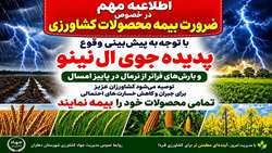 ضرورت بیمه محصولات کشاورزی همزمان با هفته دولت 