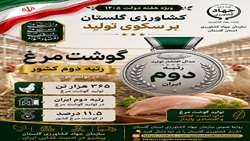 گلستان رتبه دوم تولید گوشت مرغ در ایران
