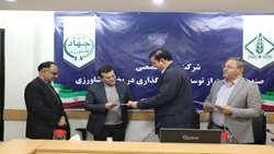 مدیرعامل شرکت مادر تخصصی صندوق حمایت از توسعه سرمایه‌گذاری بخش کشاورزی منصوب شد