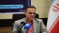  رشد چشمگیر تولید گوشت مرغ و تخم مرغ در استان بوشهر