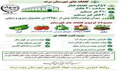 اینفوگرافی افتتاح و بهره برداری از گلخانه ۳ هزار متر مربعی یاشیل باغ در مرند