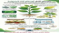 اینفوگرافی| ماده آلی خاک استان آذربایجان شرقی
