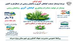 اینفو گرافی مرند؛ قطب تولید گیاهان آبزی و ماهیان زینتی در شمال‌غرب کشور