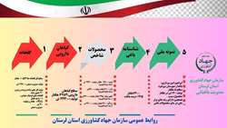 اینفوگرافی/گزارش عملکرد سال ۱۴۰۴_۱۴۰۳ مدیریت باغبانی جهاد کشاورزی استان لرستان 