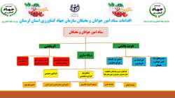 اینفوگرافی/ مهمترین اقدامات ستاد امور جوانان و نخبگان سازمان جهاد کشاورزی استان لرستان 