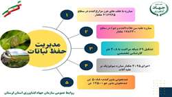 اینفوگرافی/ برخی اقدامات مهم مدیریت حفظ نباتات در سال زراعی۱۴۰۴-۱۴۰۳ سازمان جهاد کشاورزی لرستان